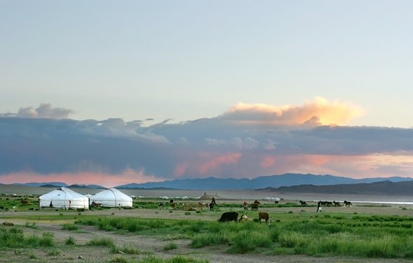 Zelte in der mongolischen Steppe