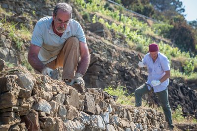 Freiwillige helfen in der italienischen Fondazione Manerola beim Erhalt der typischen Natursteinmauern.