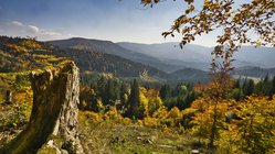 Aussicht auf die Herbstlandschaft der Niederen Tatra in der Slowakei