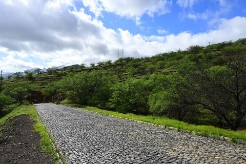 Eine Straße aus Kopfsteinpflaster inmitten von grüner Natur