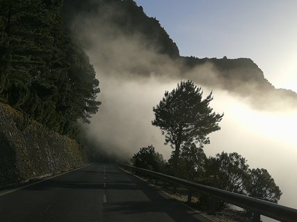 Nebelschwaden über einer Straße auf El Hierro.
