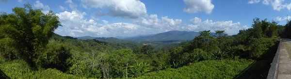 Panoramaaufnahme der grünen Landschaft von Borneo