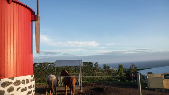 Ausblick der Patio Lodge auf den Azoren, Faial mit Blick auf das Meer und die weite Landschaft