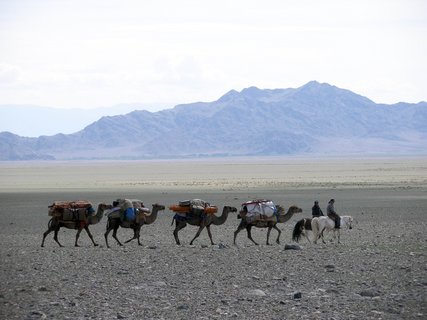 Kamele transportieren Waren und werden von zwei Reitern geführt