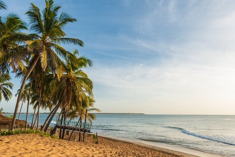 Strand und Meer mit Palmen 