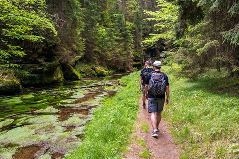 Wanderer, die einen Fluss im Wald entlang wandern