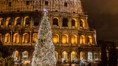 Ein beleuchteter Tannenbaum steht vorm Kolosseum in Rom