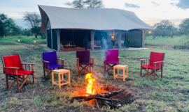 Zeltcamp im Herzen der Serengeti in Tansania