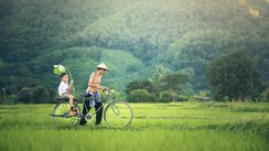 Ein einheimischer Vater und sein Sohn fahren mit dem Fahrrad durch das Reisfeld.