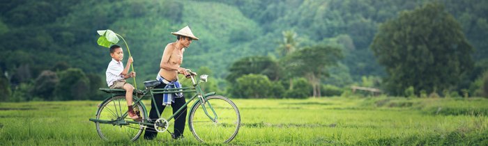 Ein einheimischer Vater und sein Sohn fahren mit dem Fahrrad durch das Reisfeld.