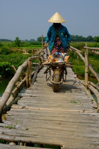 in Bauer auf einer Bambusbrücke in Vietnam mit grünen Feldern im Hintergrund