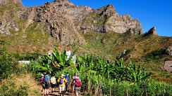 Reisegruppe bei einer Wanderung durch Tal, vorbei an Palmen, auf der kapverdischen Insel São Nicolau.