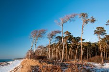 Der Weststrand - Traumhafter Naturstrand im Nationalpark Vorpommersche Boddenlandschaft