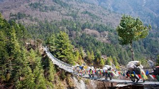 beladende Yaks laufen über eine Hängebrücke