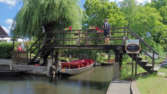 Natur pur im Spreewald Spaziergang in Lehde, Spreewald.