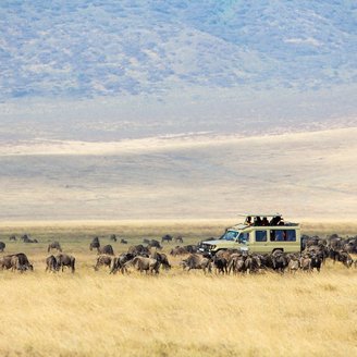 Safarifahrzeug im im Ngorongoro Krater in Tansania umzingelt von einer Gnuherde
