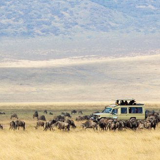 Safarifahrzeug im im Ngorongoro Krater in Tansania umzingelt von einer Gnuherde