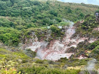 Die gesamte Bildfläche wird von niedrig wüchsiger, grüner Vegetation eingenommen. Nur zentral im Bild ist karger grauer und bräunlicher Erdboden zu sehen, aus dem einzelne Dampfschwaden aufsteigen.