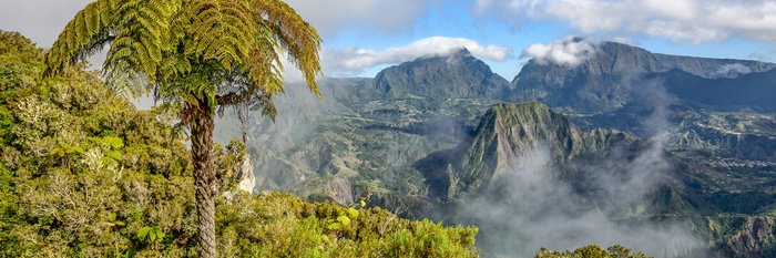 Panoramaaussicht auf Berge, die von Wolken umzingelt sind. Im Vordergrund befindet sich eine Palme.