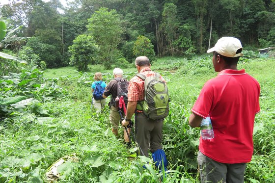 Unterwegs mit einem Lokal Guide auf geheimen Wanderwegen Reisegruppe wandert durch Gestrüpp auf unbekannten Wanderwegen