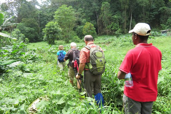 Reisegruppe wandert durch Gestrüpp auf unbekannten Wanderwegen