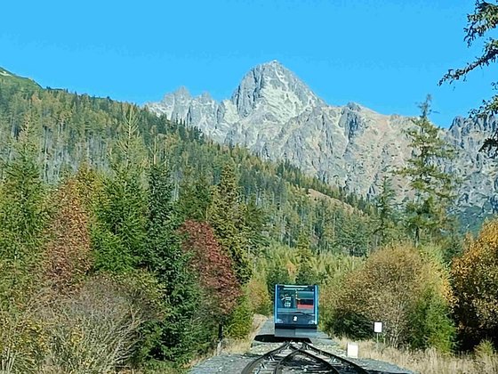 Zwischen Bergen und Bäumen verläuft frontal ein Bahngleis mit einer Zahnradbahn.