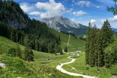 Wanderweg zum Jenner im Berchtesgadener Land.