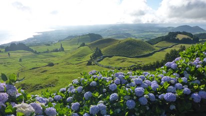 Landschaft mit Hortensien auf der Azoren Insel São Miguel