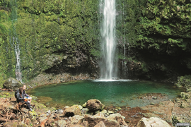 Ein Wasserfall in einem Wald