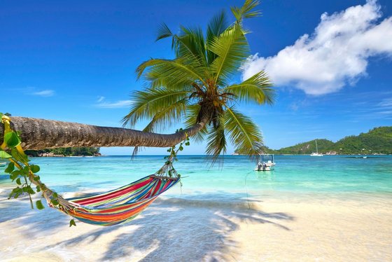 In Afrika auf den Seychellen an Strand entspannen An einem weißen Sandstrand hängt eine Hängematte an einer Palme mit Meerblick