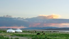 Zelte in der mongolischen Steppe