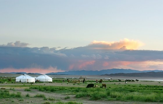 Zelte in der mongolischen Steppe Zelte in der mongolischen Steppe