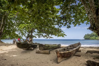 Holzboote unter Bäumen am Strand