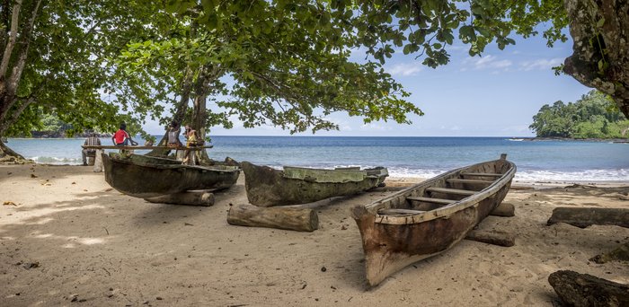 Holzboote unter Bäumen am Strand