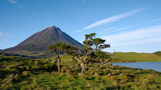 Vulkan auf der Azoren Insel Pico