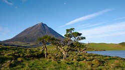 Vulkan auf der Azoren Insel Pico