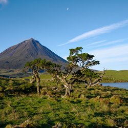 Ausblick auf einen Vulkan auf der Insel Pico