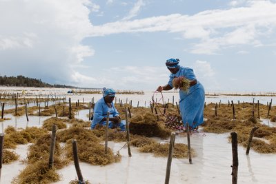 Zwei Frauen im Seaweed Center