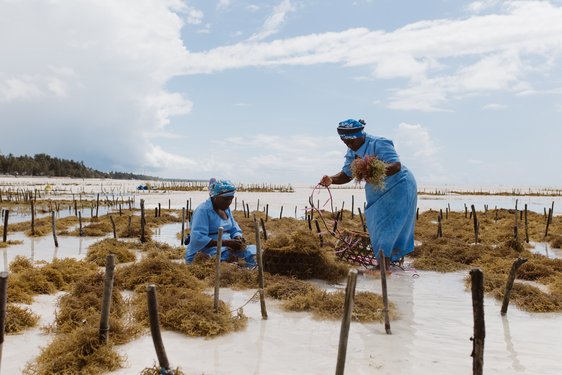 Zwei Frauen im Seaweed Center