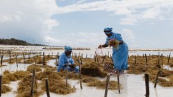 Zwei Frauen im Seaweed Center