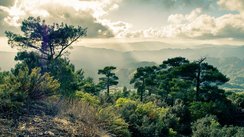 Blick aus der Gemeinde Pano Platres auf die Berge
