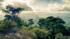 Blick aus der Gemeinde Pano Platres auf die Berge