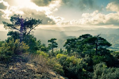 Blick aus der Gemeinde Pano Platres auf die Berge