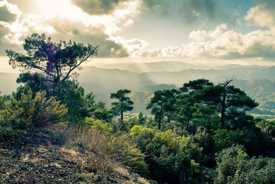 Die höchste Erhebung Zypern: Die Toodros Berge Blick aus der Gemeinde Pano Platres auf die Berge