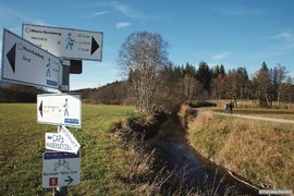 Wegweiser im Murnauer Moos