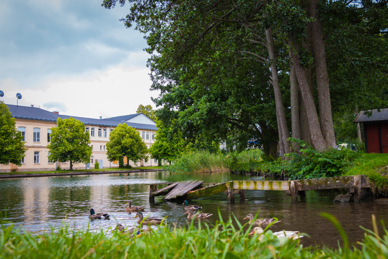 Die Motala-Werkstad, eine der ersten Industrieanlagen Schwedens Im Vordergrund sieht man Enten, die auf einem TEich schwimmen, rechts im Hintergund ein baumbestandenes Ufer, links im Hintergrund ein langgestrecktes historisches Industriegebäude