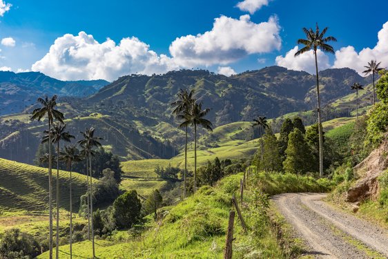 Unbefestigter Weg durch weite, grüne Felder und Gebirge im Hintergrund