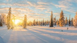 Schneelandschaft mit schneebedeckten Bäumen bei Sonnenuntergang