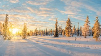 Schneelandschaft mit schneebedeckten Bäumen bei Sonnenuntergang