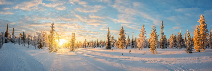 Schneelandschaft mit schneebedeckten Bäumen bei Sonnenuntergang